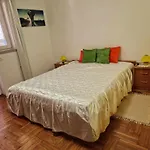 Apartment Vera